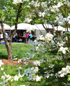 artist market at Atlanta Dogwood Festival